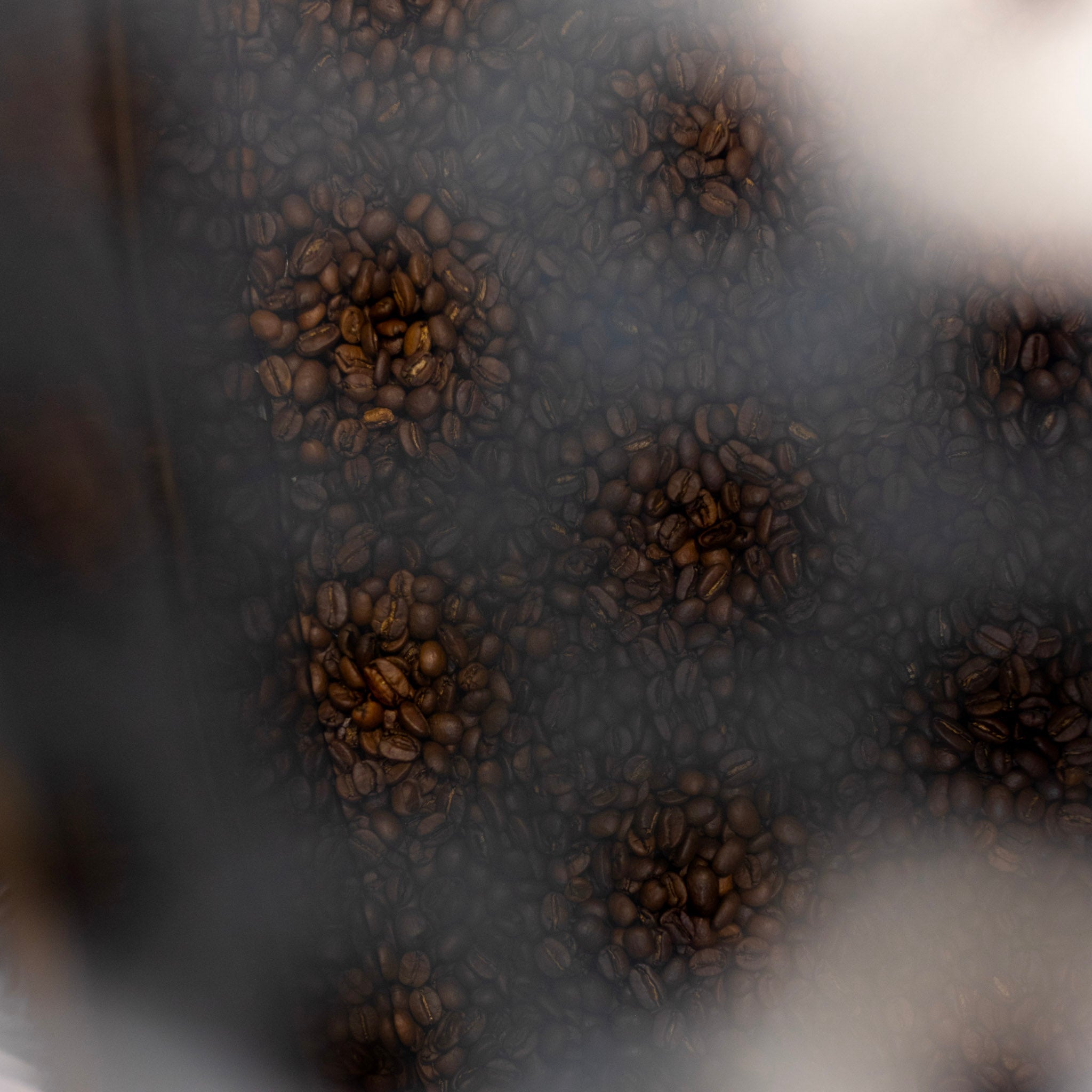 Dark roasted coffee beans in the cooling tray of a roaster seen through a mesh