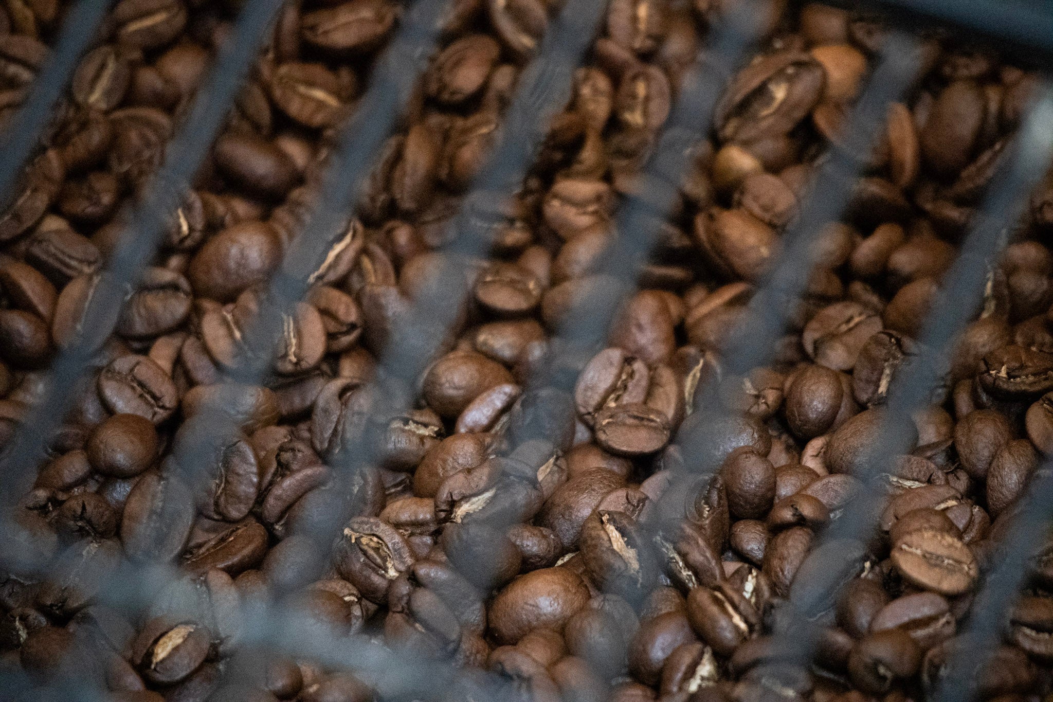 Medium roasted coffee beans seen through a mesh