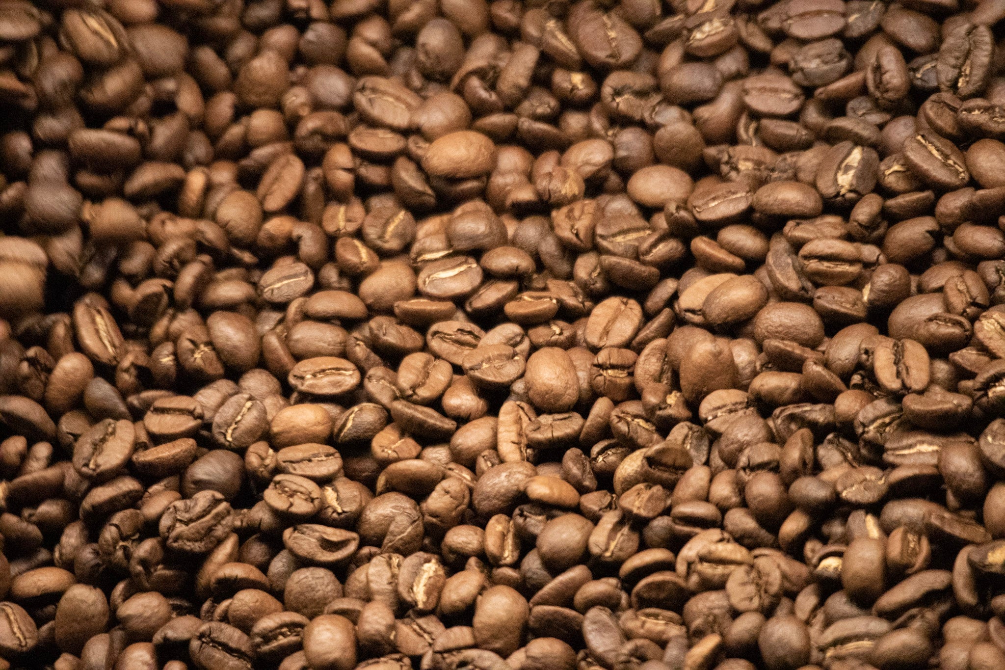 Light Roasted Coffee