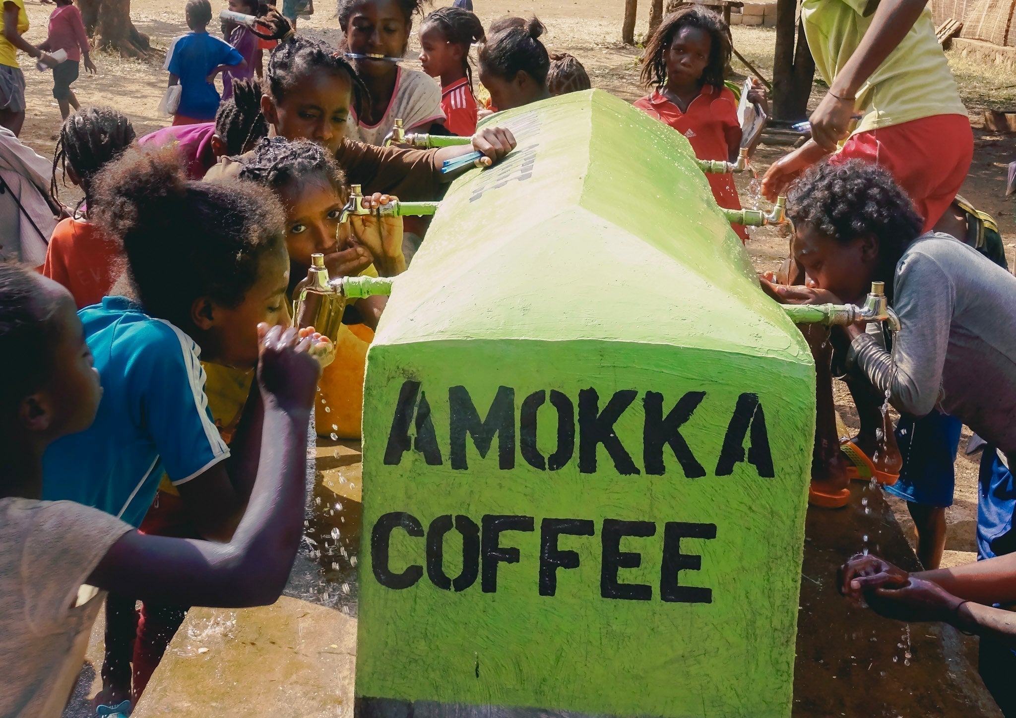 Impact Trade: A Direct Approach to Ethical Coffee Sourcing