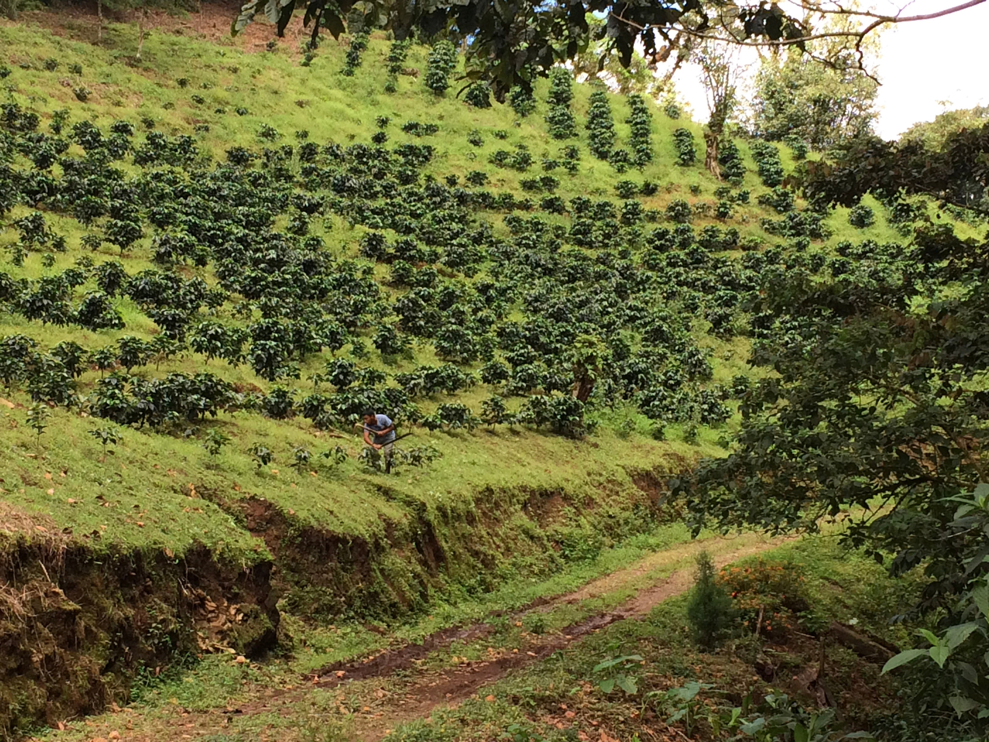 Nicaragua