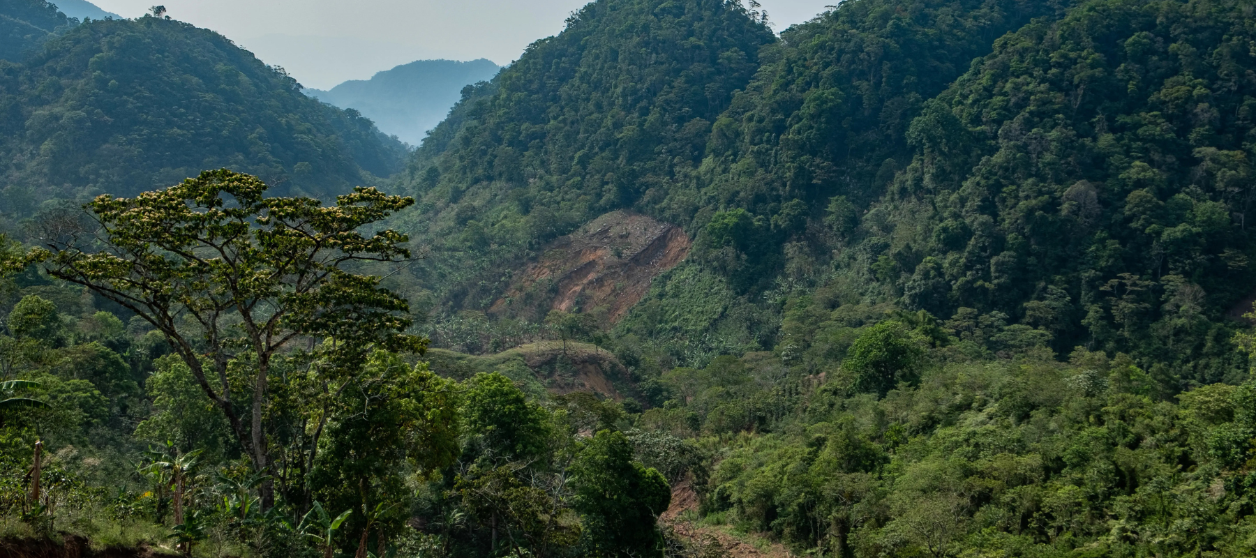 Honduras