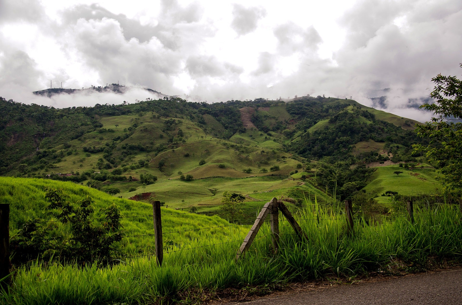 Colombia