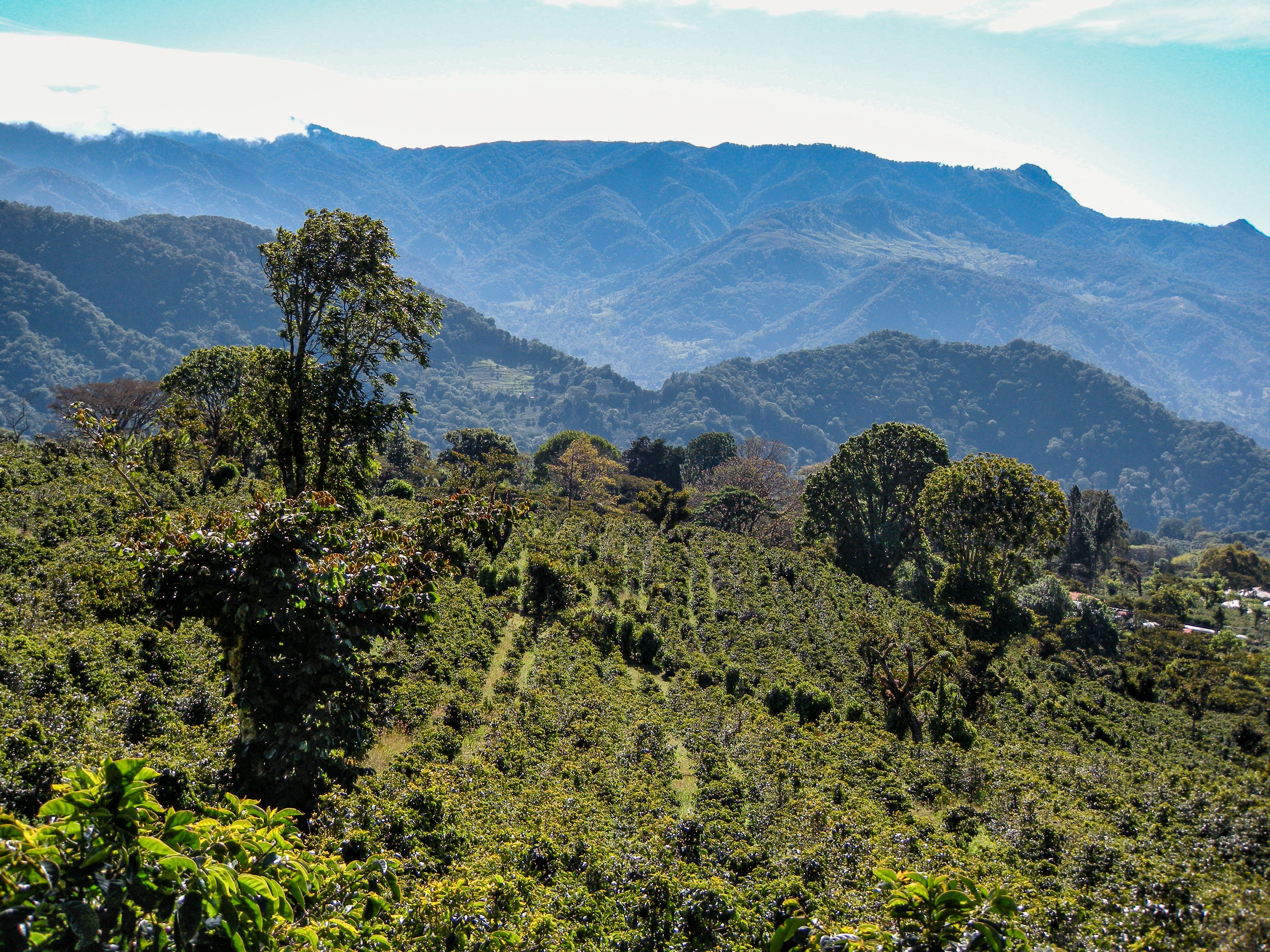 Panama