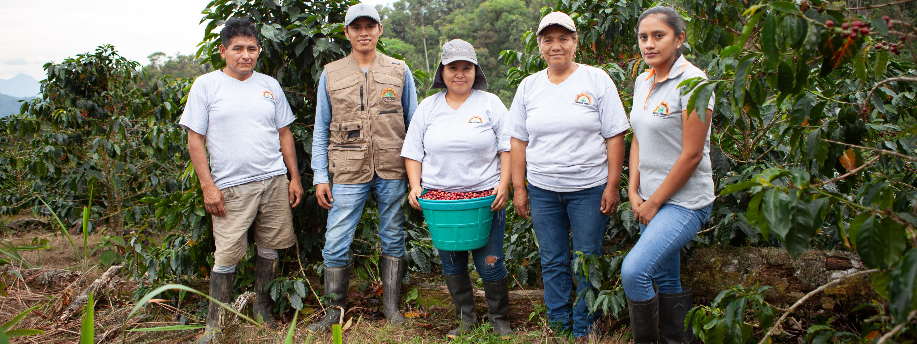 Group of people in a coffee plantation holding a bucket of coffee berries.