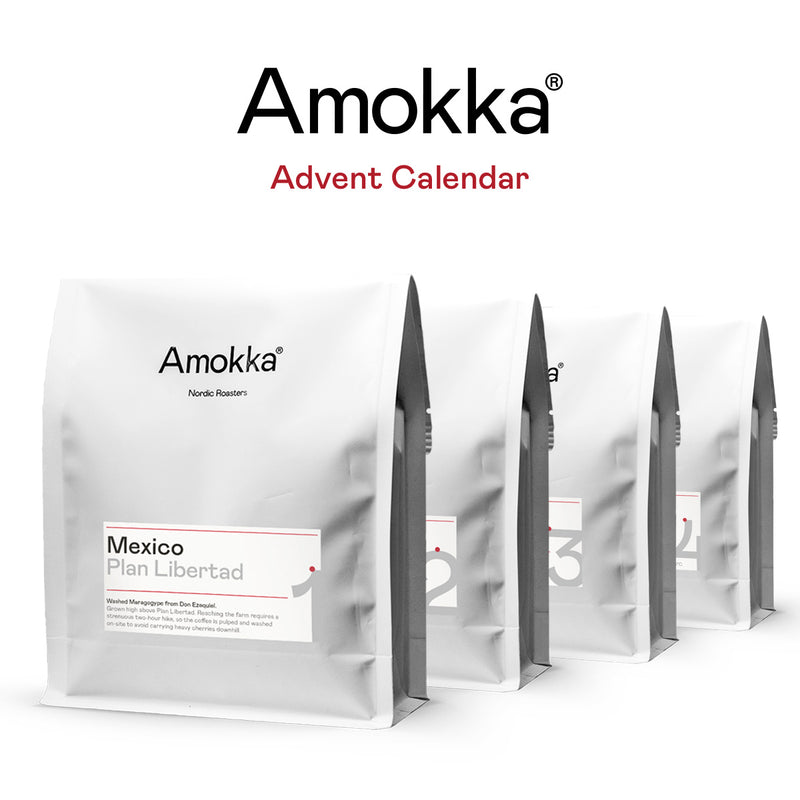 Amokka Advent Calendar - Four expressions of  Maragoype