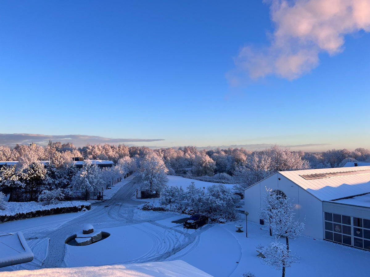 Snow-covered grounds outside the Amokka roastery in winter sunlight