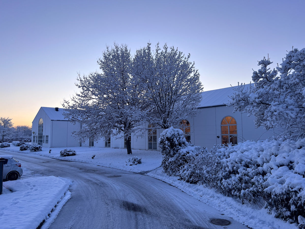 Amokka roastery and snow-covered trees in winter