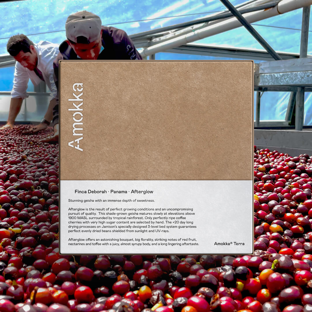 Finca Deborah Afterglow